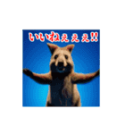 激しく動く！うざいクアッカワラビー！（個別スタンプ：15）