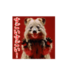 激しく動く！うざいクアッカワラビー！（個別スタンプ：16）