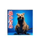 激しく動く！うざいクアッカワラビー！（個別スタンプ：22）