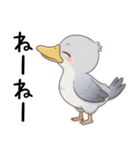 わがままで甘えたいハシビロコウ（個別スタンプ：1）
