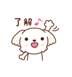 マルチーズ_モモのハッピーな毎日（個別スタンプ：4）