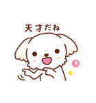 マルチーズ_モモのハッピーな毎日（個別スタンプ：9）