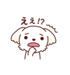 マルチーズ_モモのハッピーな毎日（個別スタンプ：13）