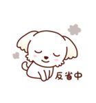 マルチーズ_モモのハッピーな毎日（個別スタンプ：17）