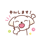 マルチーズ_モモのハッピーな毎日（個別スタンプ：22）