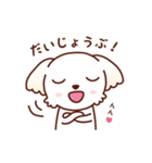 マルチーズ_モモのハッピーな毎日（個別スタンプ：37）