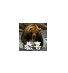 ワールドベアーズ6 日常編（台湾華語）（個別スタンプ：9）