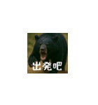 ワールドベアーズ6 日常編（台湾華語）（個別スタンプ：11）