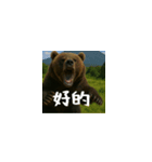 ワールドベアーズ6 日常編（台湾華語）（個別スタンプ：12）