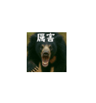 ワールドベアーズ6 日常編（台湾華語）（個別スタンプ：16）