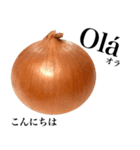 国産玉ねぎ【ポルトガル語】（個別スタンプ：1）