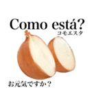 国産玉ねぎ【ポルトガル語】（個別スタンプ：4）