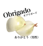 国産玉ねぎ【ポルトガル語】（個別スタンプ：5）