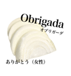 国産玉ねぎ【ポルトガル語】（個別スタンプ：6）