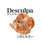 国産玉ねぎ【ポルトガル語】（個別スタンプ：11）