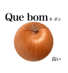 国産玉ねぎ【ポルトガル語】（個別スタンプ：14）