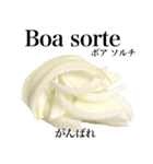 国産玉ねぎ【ポルトガル語】（個別スタンプ：16）