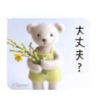 Tantanクマのやさしい応援スタンプ（個別スタンプ：5）