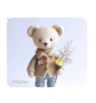 Tantanクマのやさしい応援スタンプ（個別スタンプ：13）