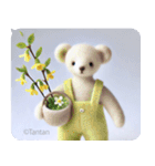 Tantanクマのやさしい応援スタンプ（個別スタンプ：17）