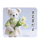 Tantanクマのやさしい応援スタンプ（個別スタンプ：23）