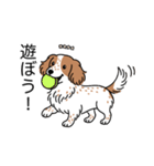 名前入りダックスクリームパイボールド（個別スタンプ：1）