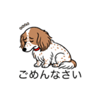 名前入りダックスクリームパイボールド（個別スタンプ：2）