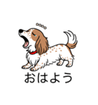 名前入りダックスクリームパイボールド（個別スタンプ：3）