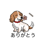 名前入りダックスクリームパイボールド（個別スタンプ：5）