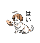 名前入りダックスクリームパイボールド（個別スタンプ：6）