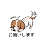 名前入りダックスクリームパイボールド（個別スタンプ：7）