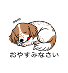 名前入りダックスクリームパイボールド（個別スタンプ：9）