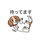 名前入りダックスクリームパイボールド（個別スタンプ：10）