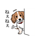 名前入りダックスクリームパイボールド（個別スタンプ：12）