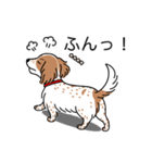 名前入りダックスクリームパイボールド（個別スタンプ：14）