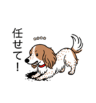 名前入りダックスクリームパイボールド（個別スタンプ：15）