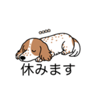 名前入りダックスクリームパイボールド（個別スタンプ：16）