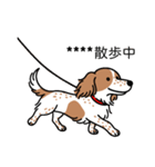 名前入りダックスクリームパイボールド（個別スタンプ：17）