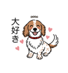 名前入りダックスクリームパイボールド（個別スタンプ：18）