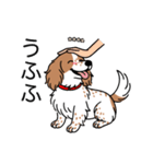 名前入りダックスクリームパイボールド（個別スタンプ：19）