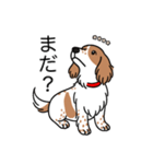 名前入りダックスクリームパイボールド（個別スタンプ：20）