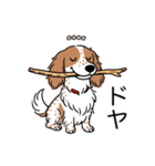 名前入りダックスクリームパイボールド（個別スタンプ：21）