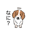 名前入りダックスクリームパイボールド（個別スタンプ：22）