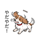 名前入りダックスクリームパイボールド（個別スタンプ：23）