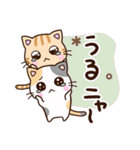 おちゃめなネコたち☆にゃーにゃー編（個別スタンプ：23）