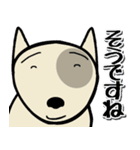 愛しのブルテリア3 N（個別スタンプ：19）