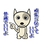 愛しのブルテリア3 N（個別スタンプ：25）