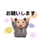 ハムさんダンス始めました（個別スタンプ：2）