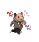 ハムさんダンス始めました（個別スタンプ：5）