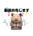 ハムさんダンス始めました（個別スタンプ：18）